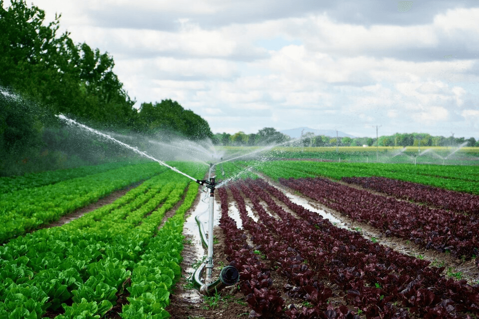 Agricultural irrigation system in green field