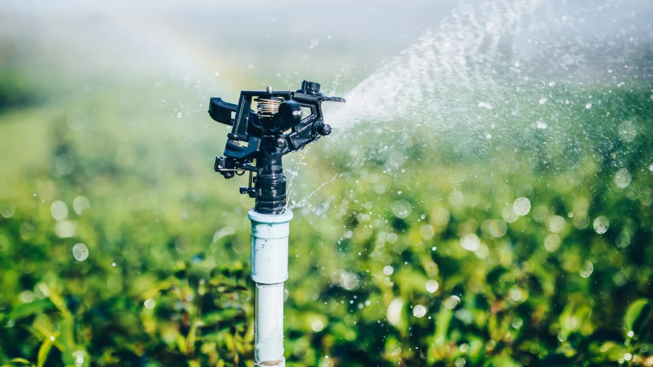 Water Sprinkler in Action